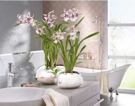 Кашпо для квітів Mirror Silver кераміка 18 дзеркальний 58174 Кашпо для квітів Mirror Silver кераміка 18 дзеркальний 58174