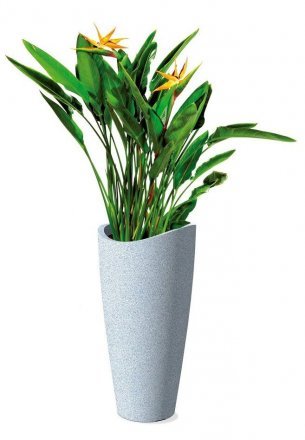 Кашпо для квітів Wave Globe Slim пластик 80 гранітно-білий 55374 Кашпо для квітів Wave Globe Slim пластик 80 гранітно-білий 55374