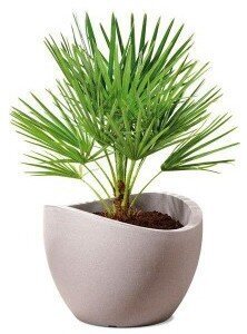 Кашпо для квітів Wave Globe пластик 30 гранітно-коричневий 53383