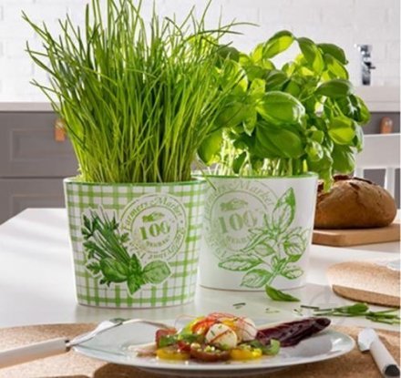 Кашпо для квітів Herbs керамічне 14 Delicious 60456 Кашпо для квітів Herbs керамічне 14 Delicious 60456