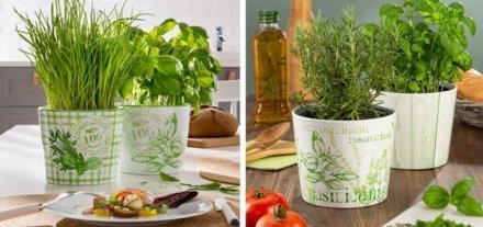 Кашпо для квітів Herbs керамічне 14 Delicious 60456 Кашпо для квітів Herbs керамічне 14 Delicious 60456