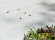 Наматрацник льняний з бджолиними фітонцидами Flax 60х120 см