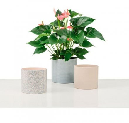 Кашпо для квітів Inspiration кераміка 16" кремовий 53751 Кашпо для квітів Inspiration кераміка 16" кремовий 53751