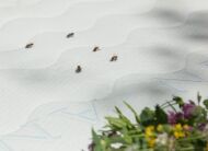 Наматрацник льняний з бджолиними фітонцидами Flax 70х170 см Наматрацник льняний з бджолиними фітонцидами Flax 70х170 см