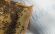 Наматрацник льняний з бджолиними фітонцидами Flax 70х170 см