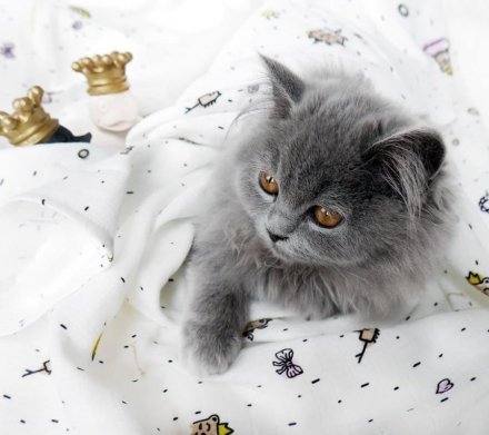 Пелюшка муслінова-плед 100x100 см Princess lullalove-8992