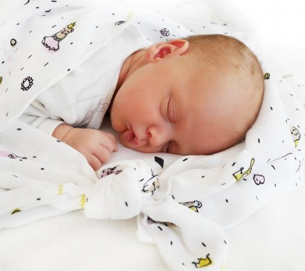 Пелюшка муслінова-плед 100x100 см Princess lullalove-8992