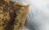 Наматрацник льняний з бджолиними фітонцидами Flax 70х190 см