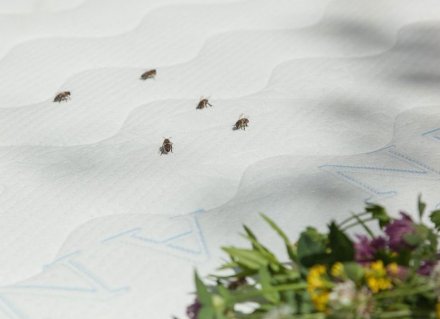 Наматрацник льняний з бджолиними фітонцидами Flax 80х160 см Наматрацник льняний з бджолиними фітонцидами Flax 80х160 см