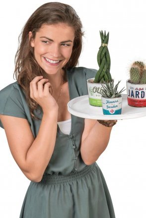 Кашпо для квітів Retro керамічне 13" Douce Provence 60450 Кашпо для квітів Retro керамічне 13" Douce Provence 60450