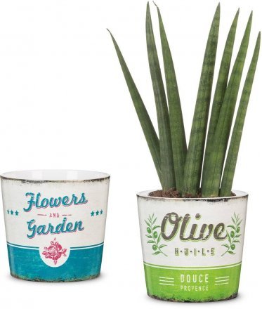 Кашпо для квітів Retro керамічне 13" Douce Provence 60450 Кашпо для квітів Retro керамічне 13" Douce Provence 60450