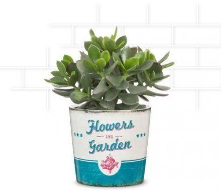 Кашпо для квітів Retro керамічне 13" Jardin 60446 Кашпо для квітів Retro керамічне 13" Jardin 60446