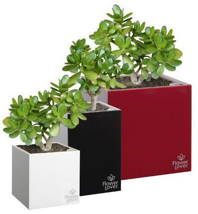 Розумний вазон Cubico Flower Lover 21 см 41118051 білий глянцевий