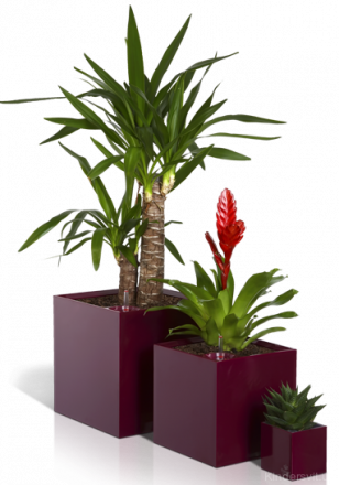 Розумний вазон Cubico Flower Lover 21 см 41118053 пурпуровий глянцевий