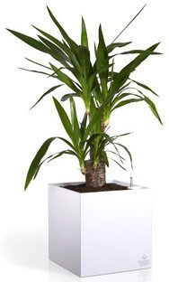 Розумний вазон Cubico Flower Lover 27 см 41118061 Білий глянсовий