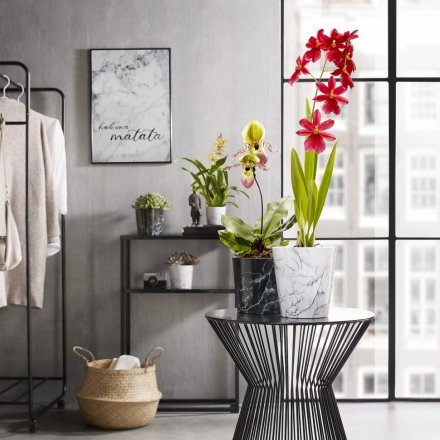 Кашпо для квітів Texture кераміка 13" білий 60401 Кашпо для квітів Texture кераміка 13" білий 60401