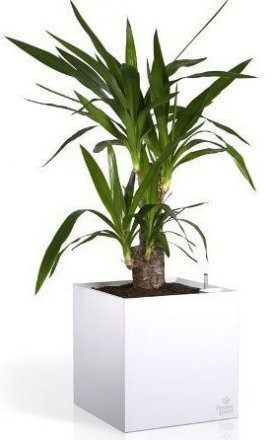 Розумний вазон Cubico Flower Lover 33 см червоний глянсовий 41118090