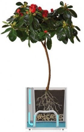 Розумний вазон Cubico Flower Lover 33 см червоний глянсовий 41118090