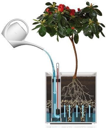 Вазон із системою автополиву Quadrato Flower Lover 18x18x17 антрацит глянцевий 23196