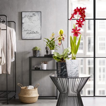 Кашпо для квітів Texture кераміка 18" чорний 63388