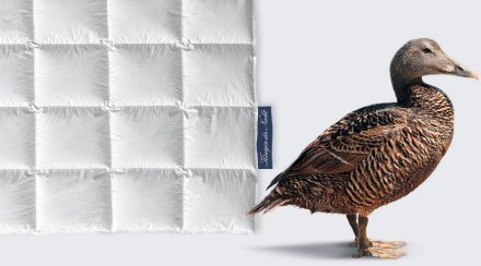 Ковдра пухова Konigin Der Nacht 200х220 см