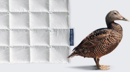 Ковдра пухова Konigin Der Nacht 220х240 см Ковдра пухова Konigin Der Nacht 220х240 см