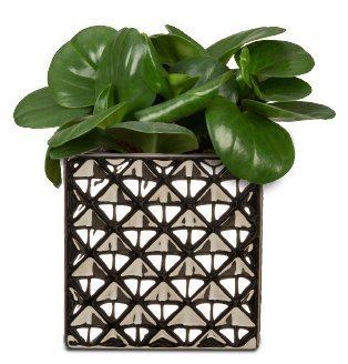Кашпо для квітів Crystal кераміка 17" куб сріблясто-чорний 62215 Кашпо для квітів Crystal кераміка 17" куб сріблясто-чорний 62215