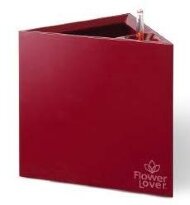 Розумний вазон Flower Lover Triangle 21 см червоний глянцевий 41118080