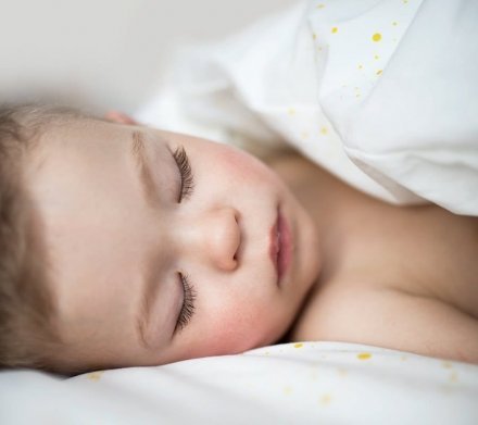 Дитяча постіль наволочка та підковдра Royal lullalove-0461 Дитяча постіль наволочка та підковдра Royal lullalove-0461