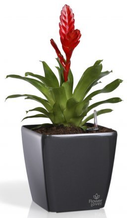 Розумний вазон Quadrato Flower Lover 18 см 41116613 Білий глянсовий