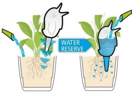 Декоративна ємність для води Пташка розмір М синя 45552