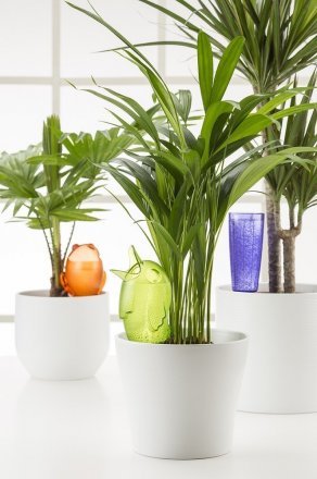 Декоративна ємність для води Пташка розмір М синя 45552