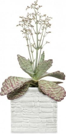 Кашпо для квітів Stone Look кераміка 13 білий куб 97744 Кашпо для квітів Stone Look кераміка 13 білий куб 97744