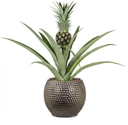 Кашпо для квітів Mercury кераміка 18" сріблясто-чорний 62218