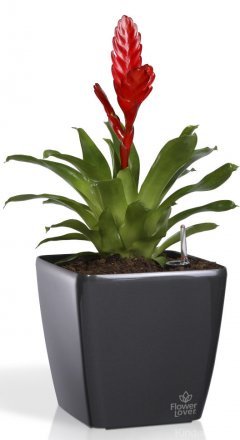 Розумний вазон Quadrato Flower Lover 34 см 41116643 Білий глянсовий