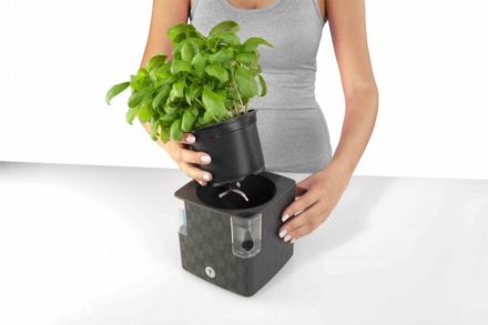 Вазон із системою автополиву Cobble 2,2 л антрацит (8595096964159) 79000 Вазон із системою автополиву Cobble 2,2 л антрацит (8595096964159) 79000