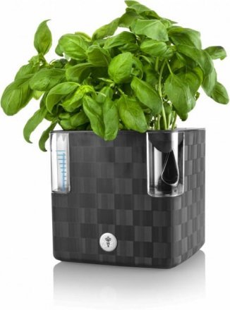 Вазон із системою автополиву Cobble 2,2 л антрацит (8595096964159) 79000 Вазон із системою автополиву Cobble 2,2 л антрацит (8595096964159) 79000