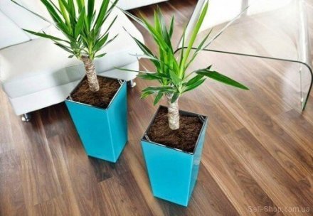 Вазон Elise 30 см матовий бірюзовий 4111386073 Вазон Elise 30 см матовий бірюзовий 4111386073