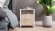 Тумба універсальна Ferrum-decor Вів'єн 2/2 50x41x40 білий ДСП Дуб Сан-Марино 16мм (FRD-104162)