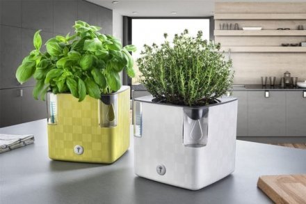 Вазон із системою автополиву Cobble 2,2 л білий (8595096964111) 78999 Вазон із системою автополиву Cobble 2,2 л білий (8595096964111) 78999