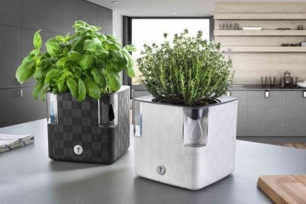 Вазон із системою автополиву Cobble 2,2 л білий (8595096964111) 78999 Вазон із системою автополиву Cobble 2,2 л білий (8595096964111) 78999