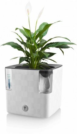 Вазон із системою автополиву Cobble 2,2 л білий (8595096964111) 78999 Вазон із системою автополиву Cobble 2,2 л білий (8595096964111) 78999