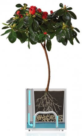 Розумний вазон Triangle Flower Lover 14 см 41118131 білий глянцевий