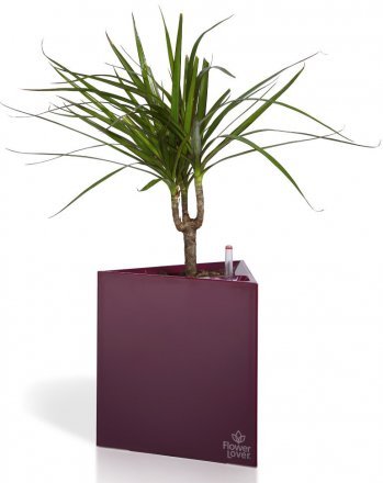 Розумний вазон Triangle Flower Lover 21 см 41118083 пурпуровий глянцевий