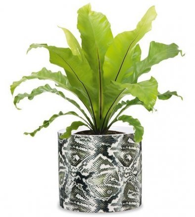 Кашпо для квітів Inspiration кераміка 16 рептилія 97766