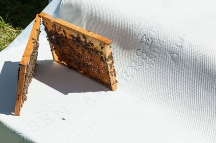 Наматрасник Льон 140х200 см (CMP192) Наматрасник Льон 140х200 см (CMP192)