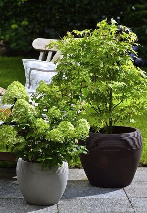 Кашпо для квітів Lineo пластик 30 гранітно-коричневий 56527 Кашпо для квітів Lineo пластик 30 гранітно-коричневий 56527