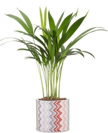 Кашпо для квітів Inspiration кераміка 12 дизайнерські 97772