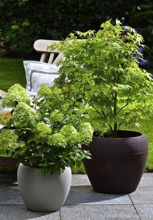 Кашпо для квітів Lineo пластик 30 песочный 56521 Кашпо для квітів Lineo пластик 30 песочный 56521