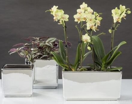 Кашпо для квітів Mirror Silver кераміка 11 дзеркальний куб 58686 Кашпо для квітів Mirror Silver кераміка 11 дзеркальний куб 58686